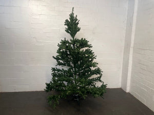 Christmas Tree On Green Stand