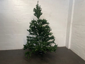 Christmas Tree On Green Stand