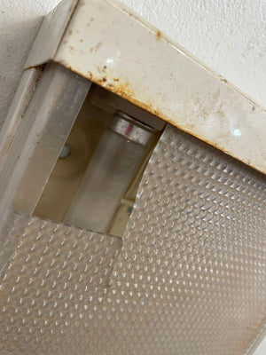 Fluorescent Light Fixture with Cover (Damaged Covers)