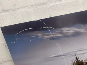 Tree on Hill Wall Art