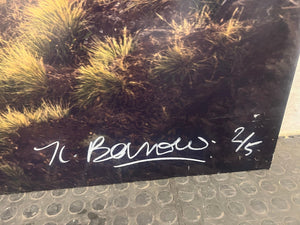 Tree on Hill Wall Art