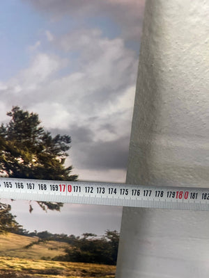 Tree on Hill Wall Art