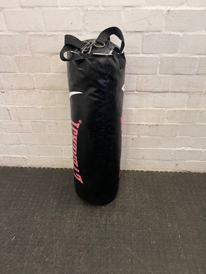 Everlast Punching Bag