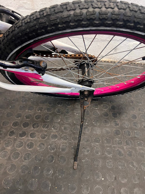 Raleigh 20" Youth Mountain Bike - Dual Tone