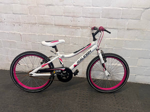 Raleigh 20" Youth Mountain Bike - Dual Tone