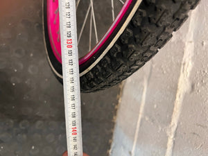 Raleigh 20" Youth Mountain Bike - Dual Tone