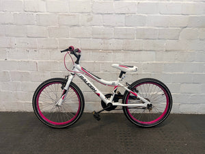 Raleigh 20" Youth Mountain Bike - Dual Tone