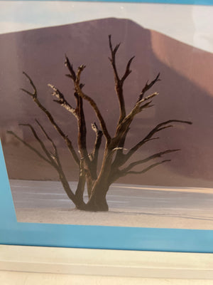 Desert Tree White Framed Artwork 34 x 30cm - 2ndhandwarehouse.com