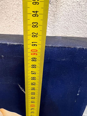 White Lily Flower Against Blue Background Painting by Einsa Kroukamp (Width: 33cm) (Height: 92cm) - 2ndhandwarehouse.com