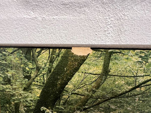 Nature River Stream Photo Print in Wooden Frame (Damaged) (Width: 88cm) (Height: 58cm) - 2ndhandwarehouse.com