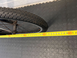 Blue Avalanche Mountain Bike - Youth Size with Minor Scratches