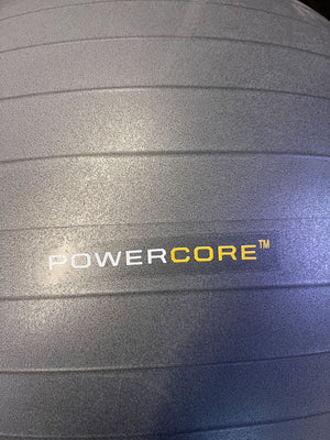 Everlast 75cm Grey Exercise Ball - Pre-Loved Fitness