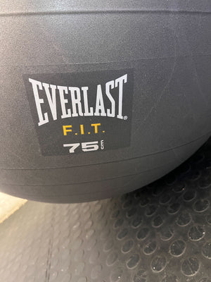 Everlast 75cm Grey Exercise Ball - Pre-Loved Fitness