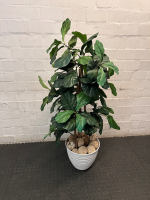 Artificial Fiddle Leaf Fig Plant in White Ribbed Pot — Clean Condition