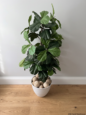 Artificial Fiddle Leaf Fig Plant in White Ribbed Pot — Clean Condition