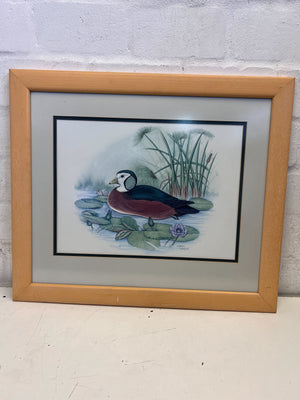 Framed Watercolor Duck Print - Elegant Nature Artwork - 2ndhandwarehouse.com