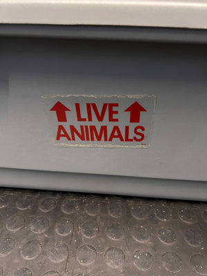 Grey Plastic Pet Carrier with Steel Door 80 BY 55 - Minor Scuff Marks