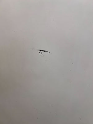 White Two-Door Fridge with Minor Scratches - REDUCED