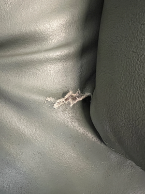 Sage Green Upholstered 1 Seater Couch — Small Tear in Leather