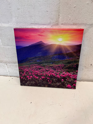 Vibrant Mountain Sunset & Rhododendron Canvas Art - 2ndhandwarehouse.com