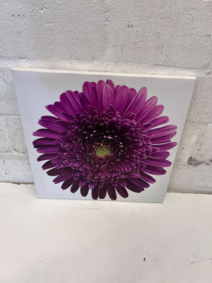 Vibrant Purple Gerbera Daisy Canvas Wall Art - 2ndhandwarehouse.com