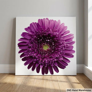 Vibrant Purple Gerbera Daisy Canvas Wall Art - 2ndhandwarehouse.com
