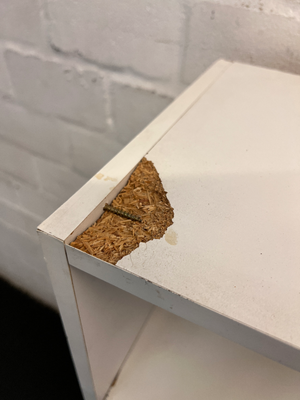 White Four-Shelf Bookcase — Structural Damage; Unable to Stand I - 2ndhandwarehouse.com
