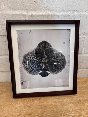 Framed Monochromatic Orchid Botanical Print – main front view