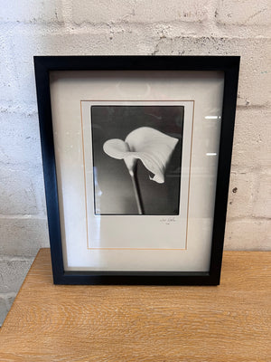 Framed Monochrome Arum Lily Photographic Print – main front view