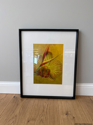 Framed Botanical Orchid and Strelitzia Artwork – styled product image