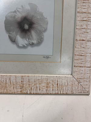 Rustic Whitewashed Square Flower Picture Frame — Good Working Order - 2ndhandwarehouse.com