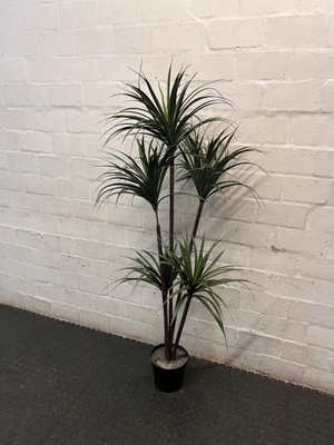 Multi-Stemmed Artificial Dracaena Plant in Black Pot