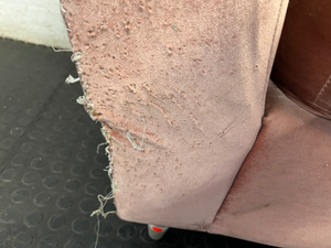 Dusty Pink Velvet-Style Upholstered Daybed — Well Used with Visible Fabric Wear