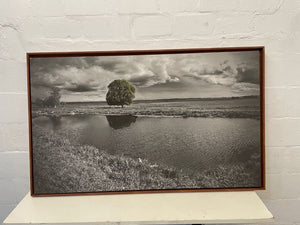 Wooden Framed Print of Tree & River137cm x 84cm