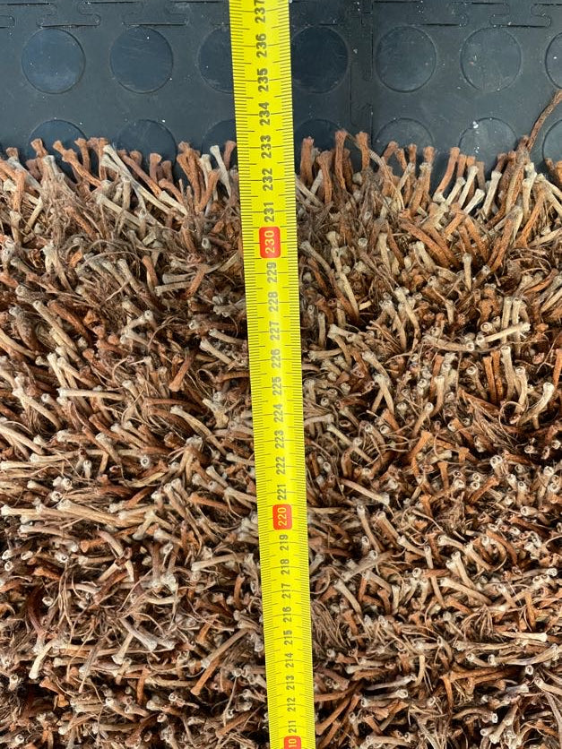 Brown Shaggy Wool Carpet 230cm x 170cm - PRICE DROP