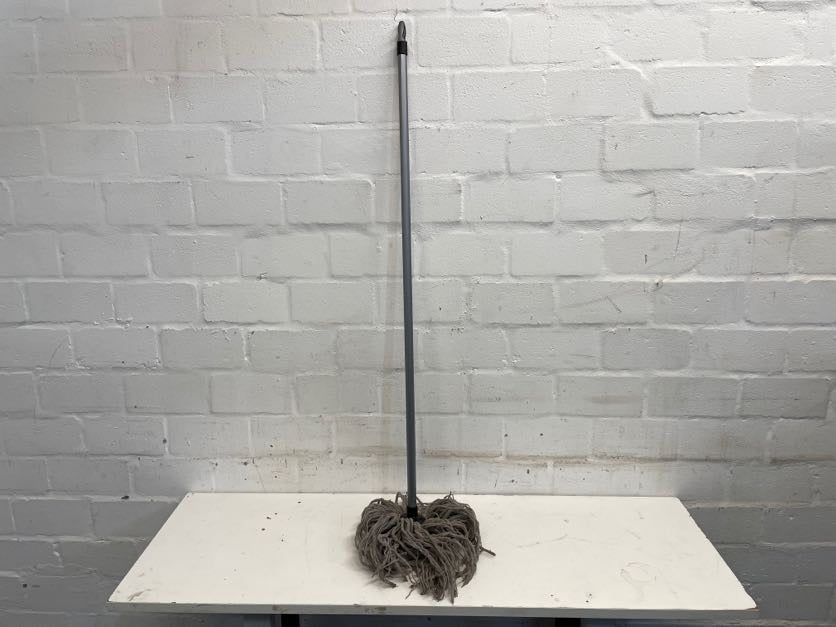 Mop