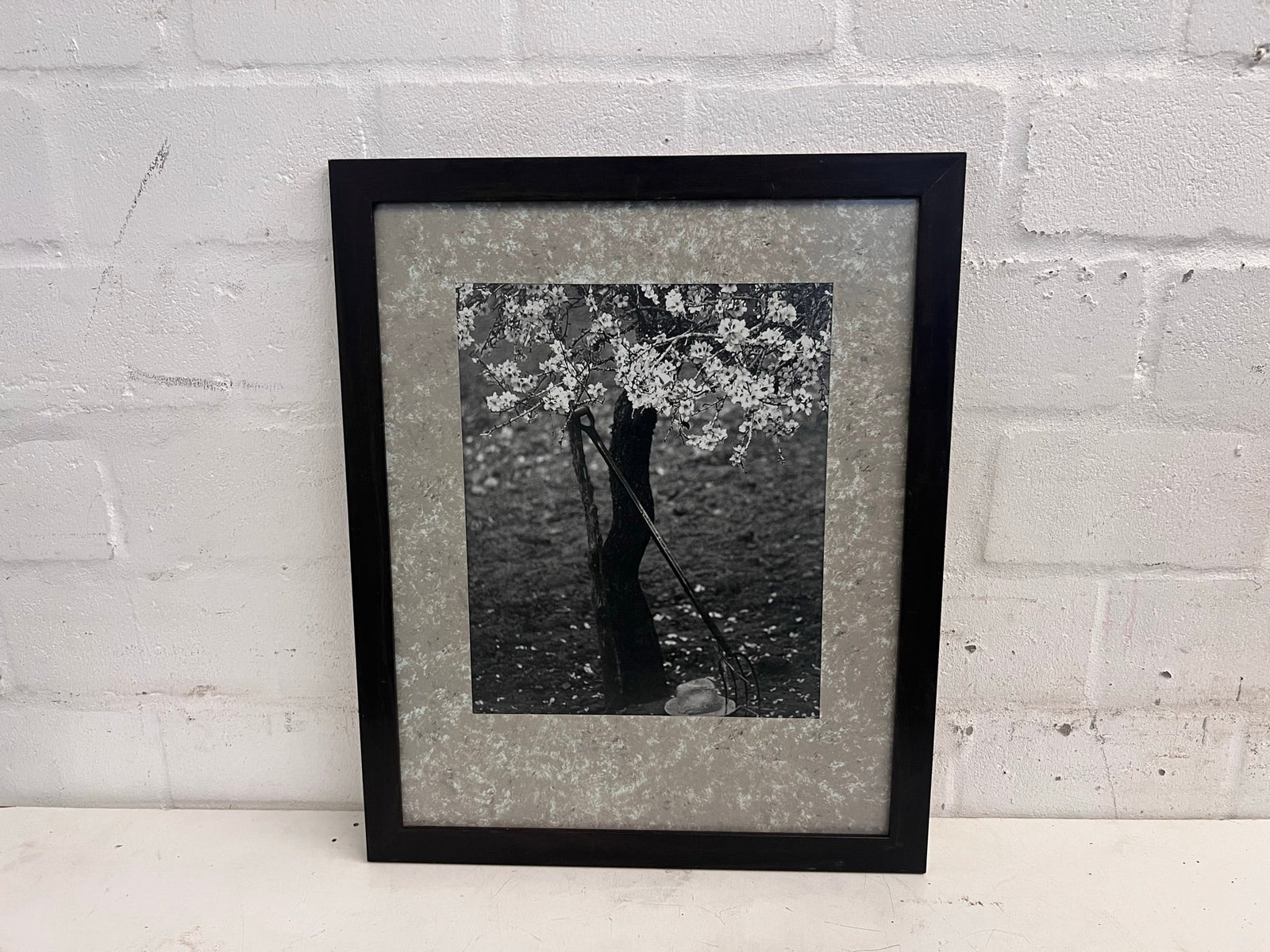 Black and White Cherry Blossom Framed Art 55cm x 45cm