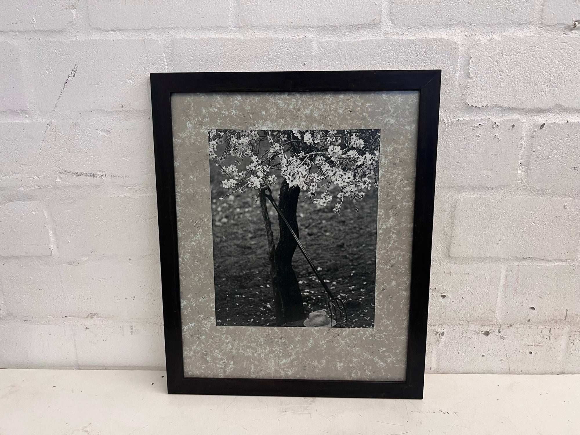 Black and White Cherry Blossom Framed Art 55cm x 45cm