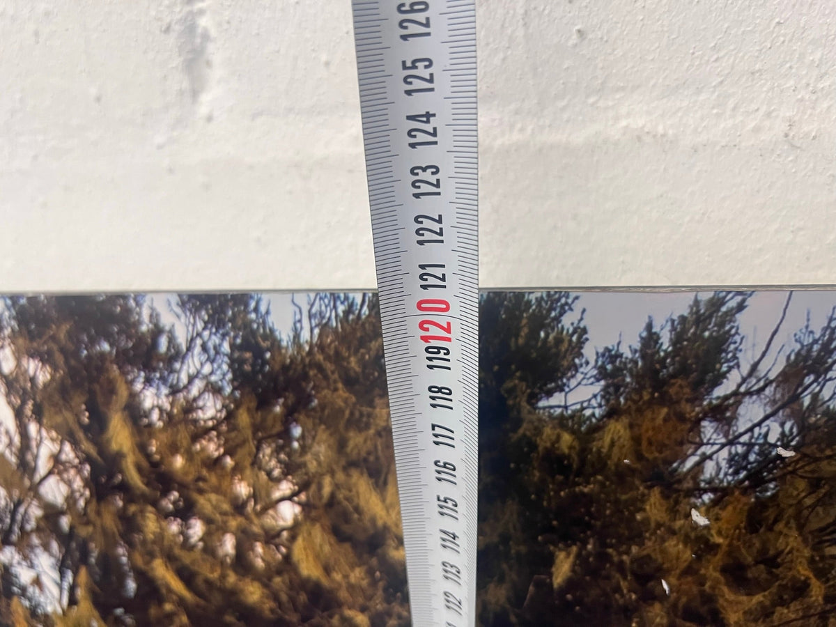 Tree on Hill Wall Art