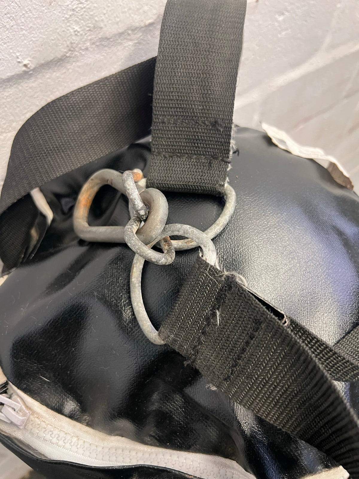 Everlast Punching Bag