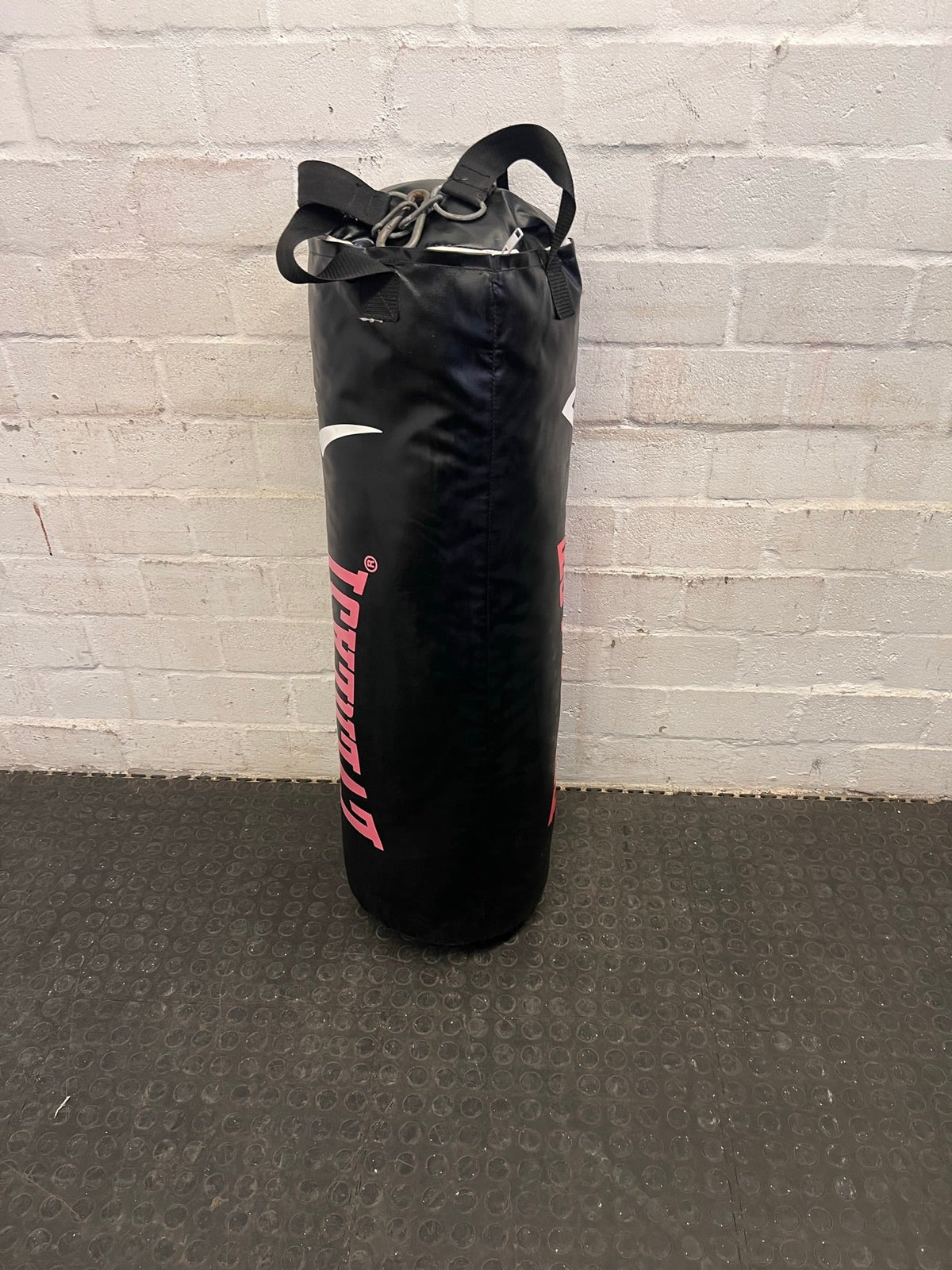 Everlast Punching Bag