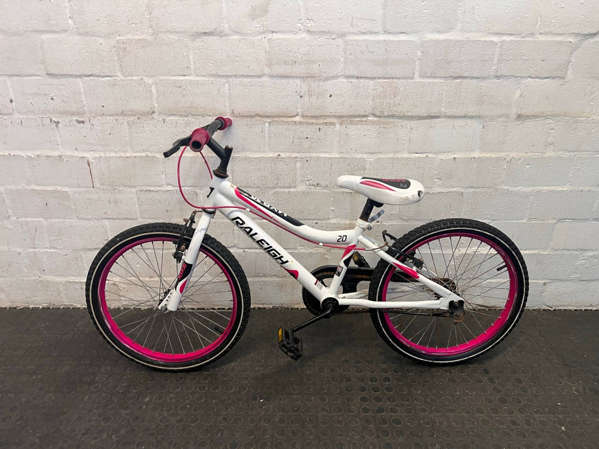 Raleigh 20" Youth Mountain Bike - Dual Tone