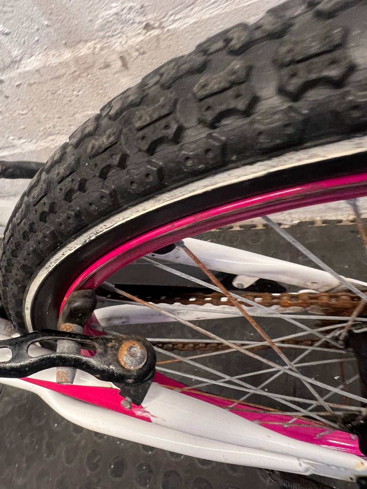 Raleigh 20" Youth Mountain Bike - Dual Tone