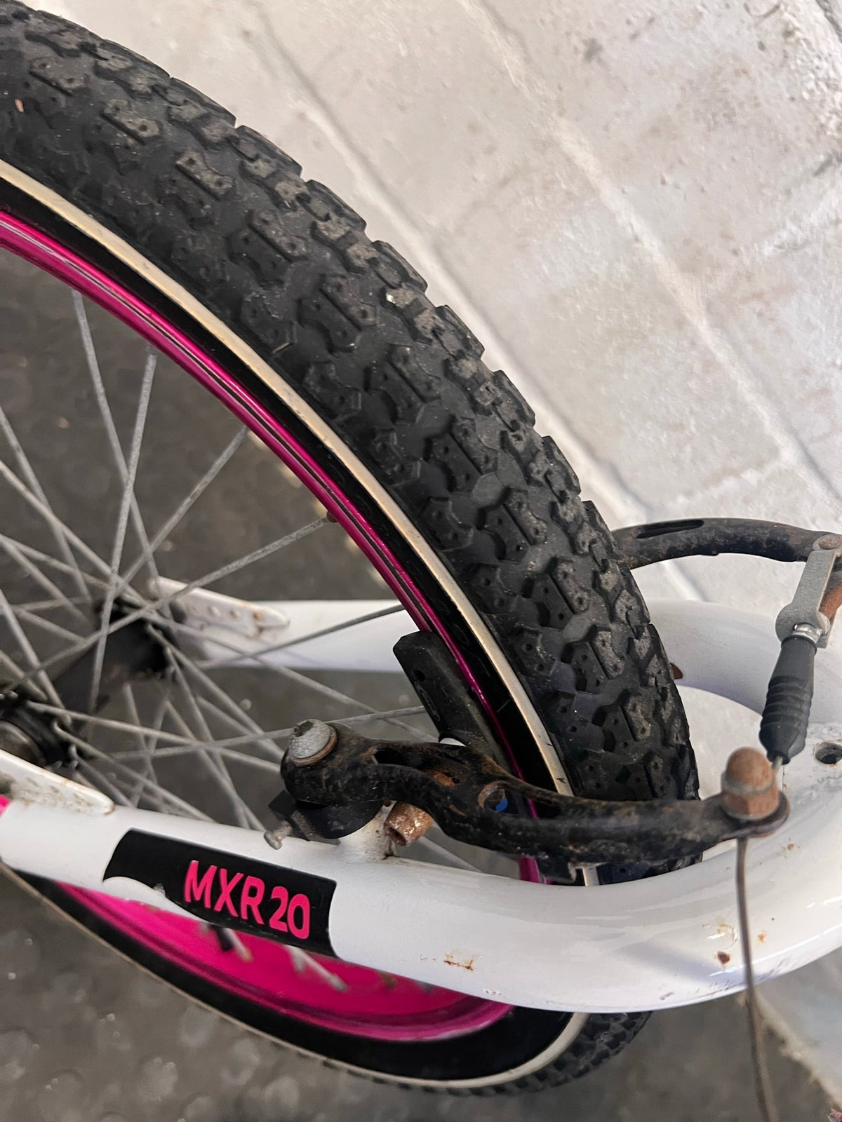 Raleigh 20" Youth Mountain Bike - Dual Tone