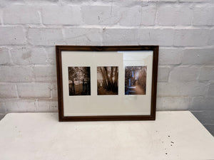 3 Photo Forest Sepia Framed Wall Art