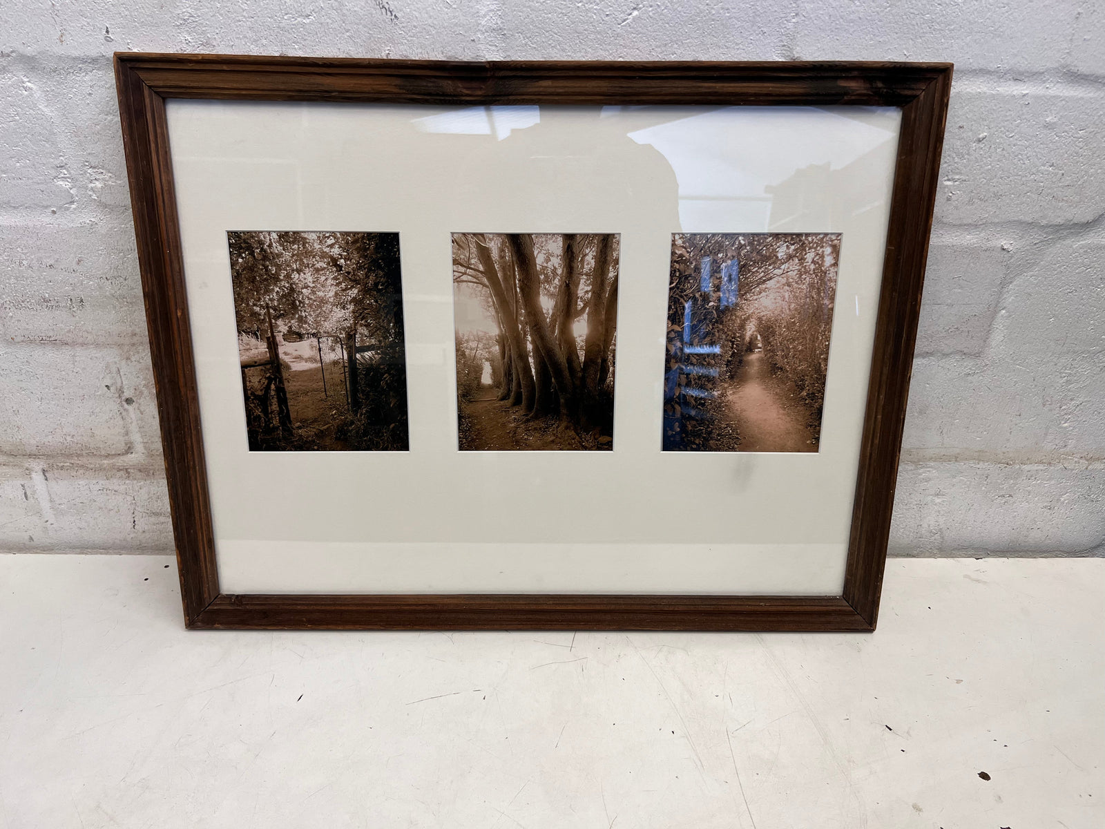 3 Photo Forest Sepia Framed Wall Art