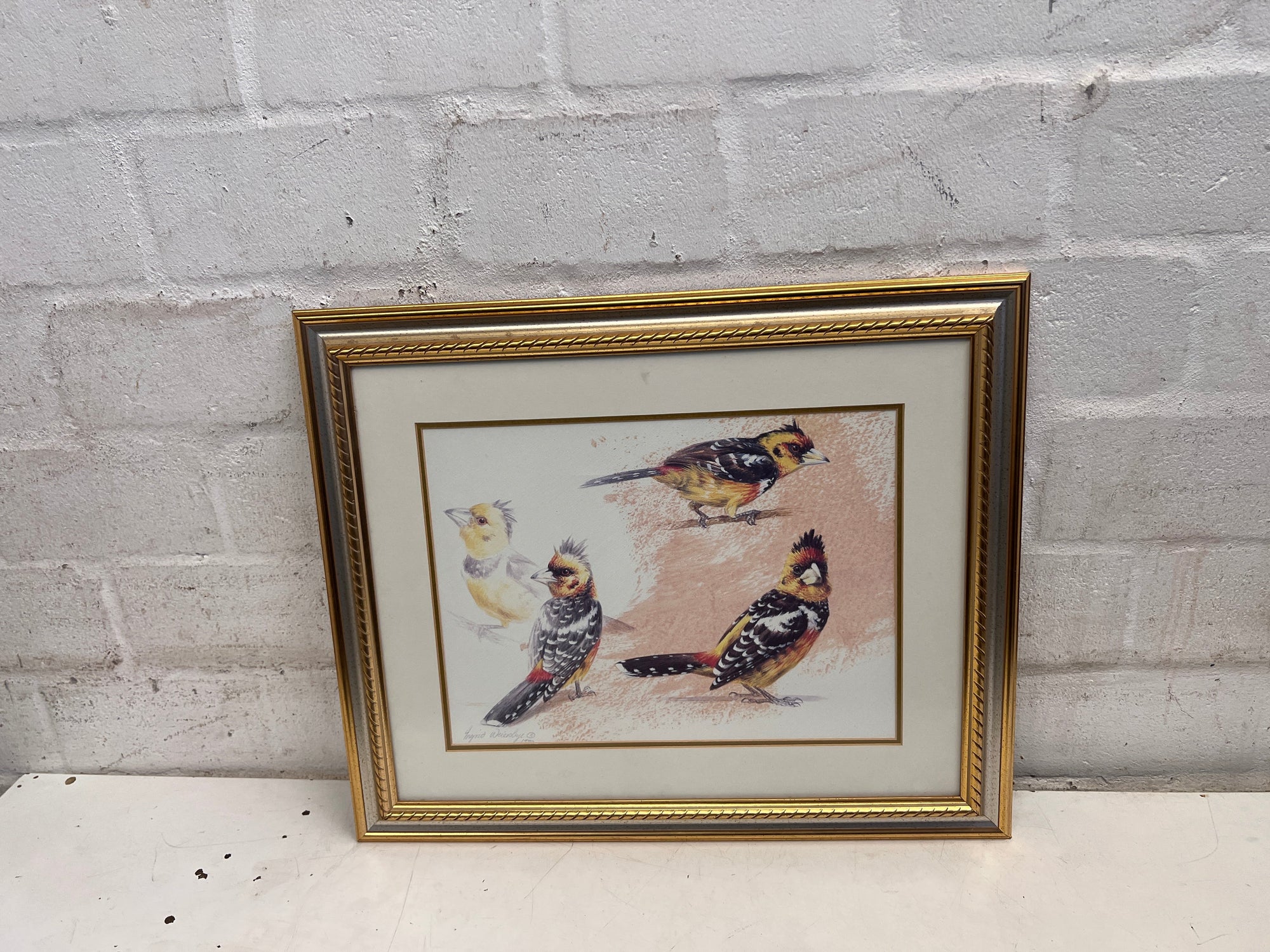Three Birds Framed Artwork