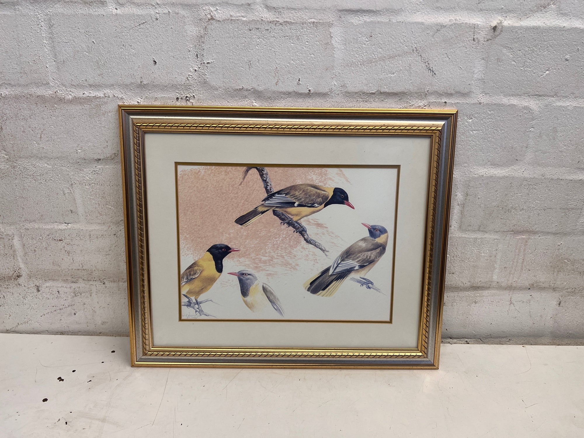 Three Birds on a Branch Framed Artwork