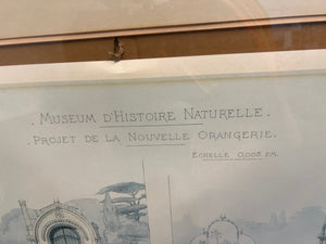 Mueseum D'Histoire Naturelle Framed Print