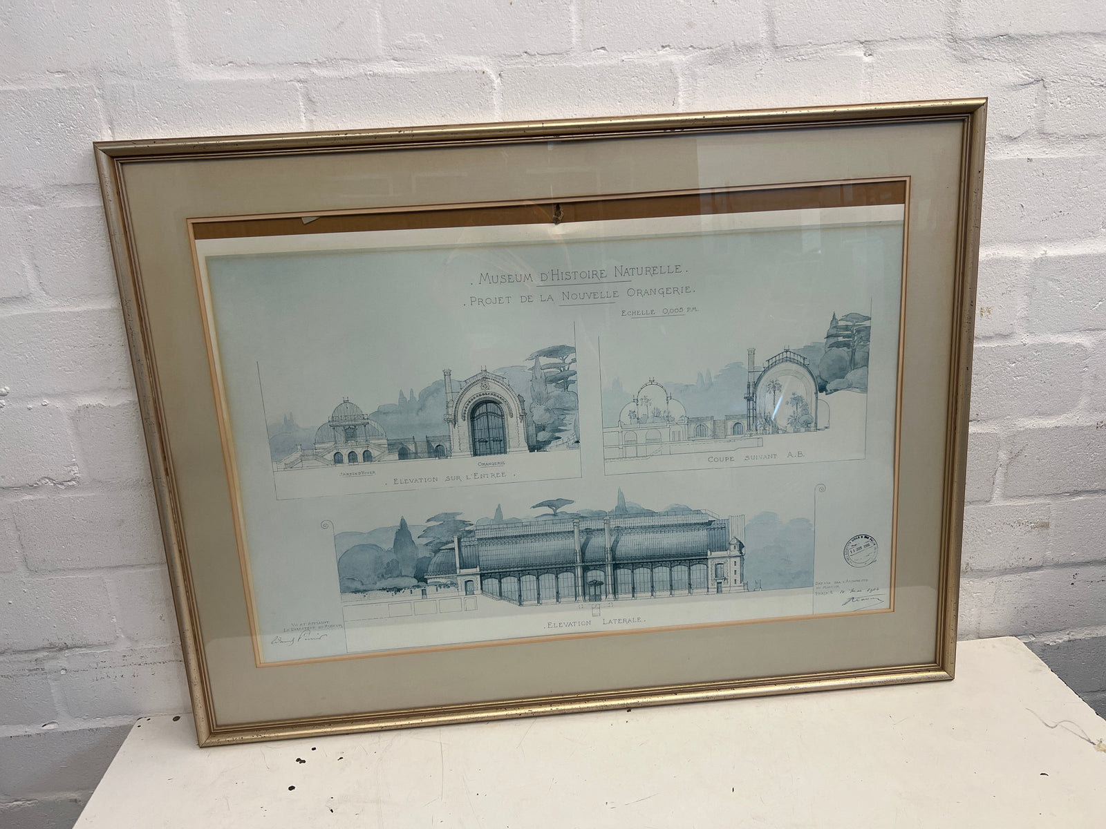 Mueseum D'Histoire Naturelle Framed Print
